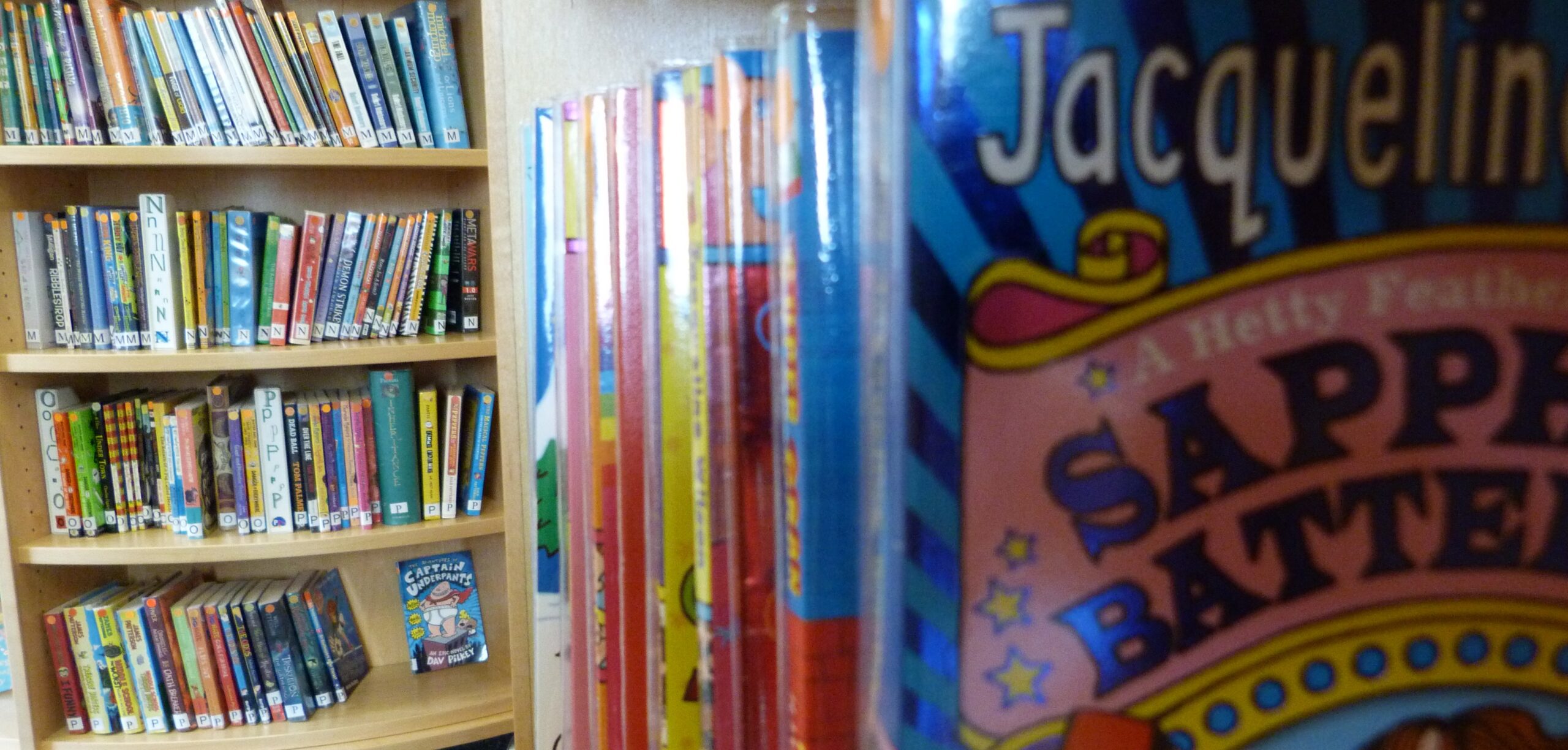 Close up photograph of childrens books on the shelf at Halewood Library.